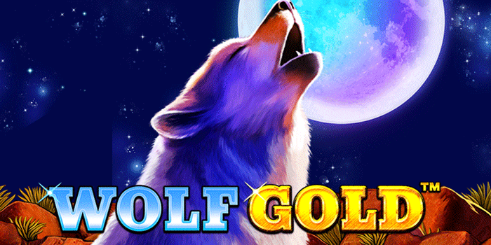 Strategi Slot Wolf Gold Untuk Memaksimalkan Scatter dan Bonus